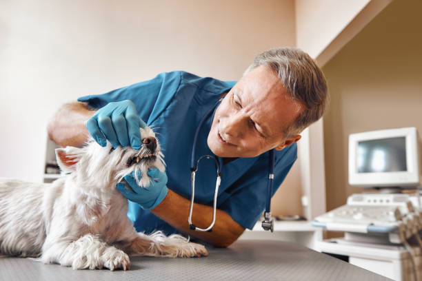 Best Dental Abscess Treatment in Indian Wells, CA